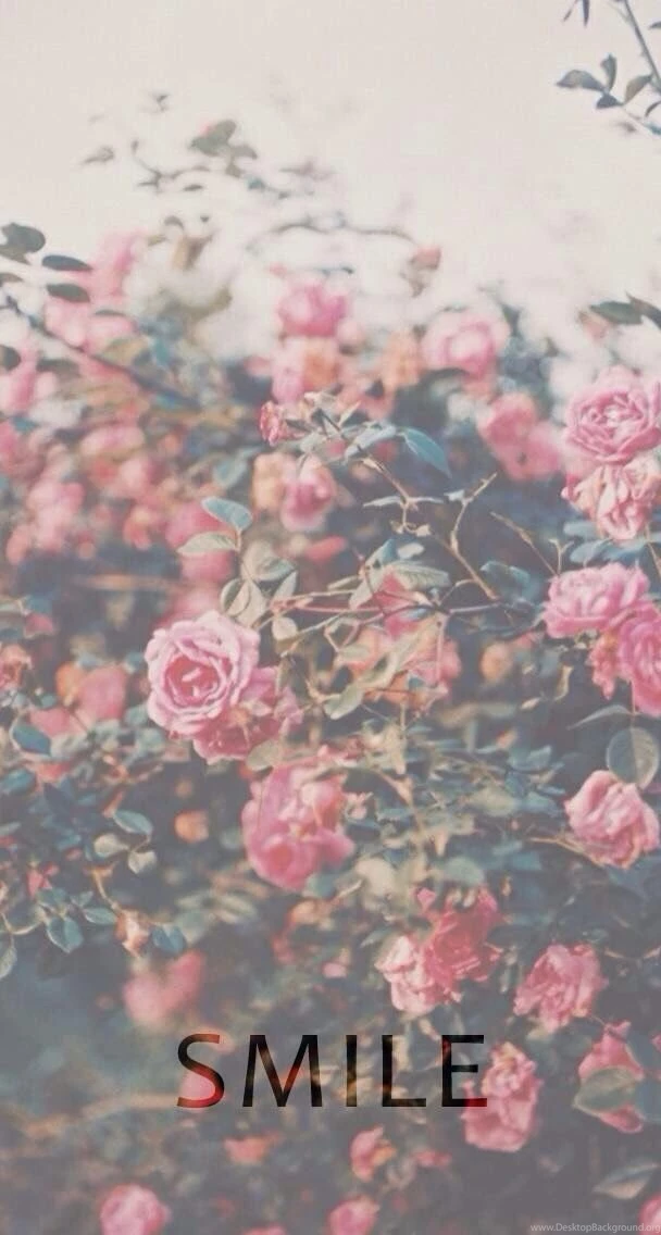 Lock Screen Wallpapers On Pinterest