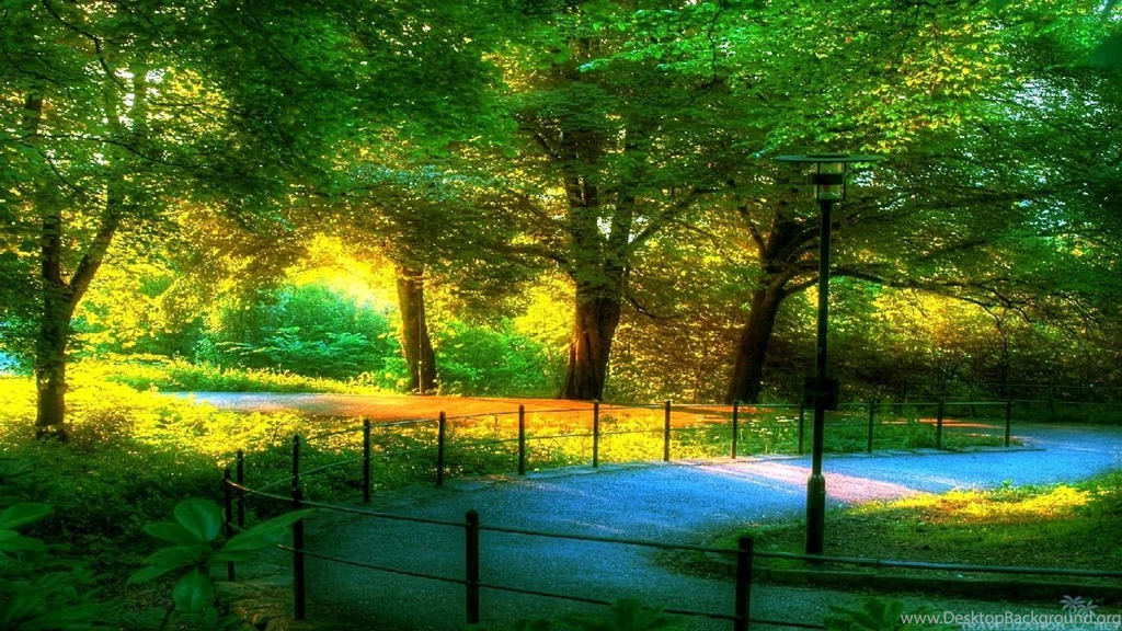 Scenery Wallpapers