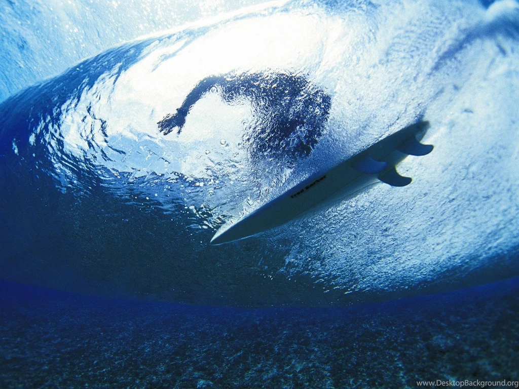12.15.15 ~ Surfer, Photography Image Galleries