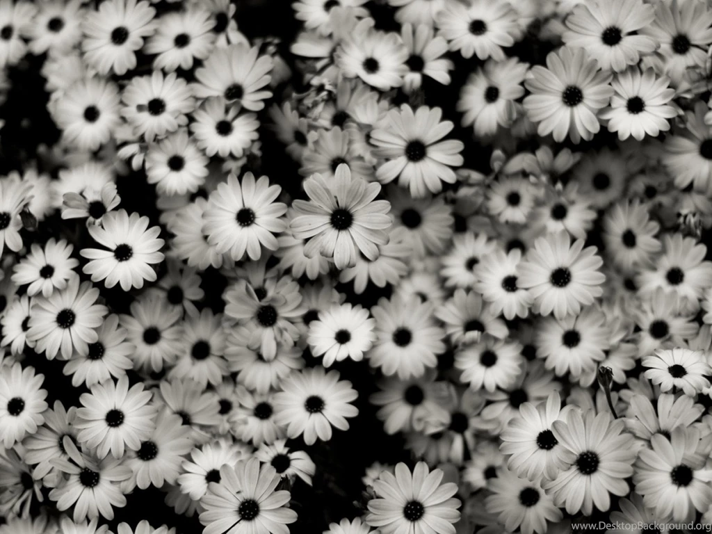 Black And White Wallpapers Tumblr HD Images New Desktop Background