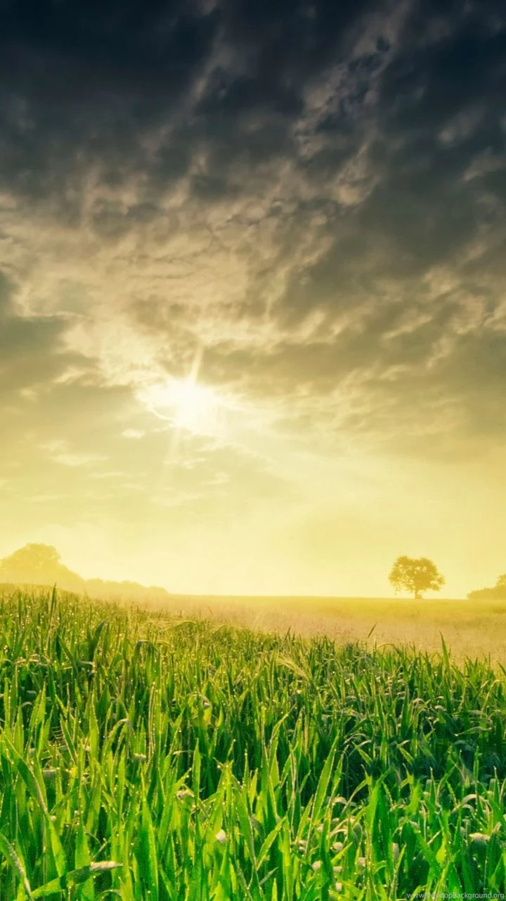 Android Wallpapers Free Download Summer Season – Androidwalls.org