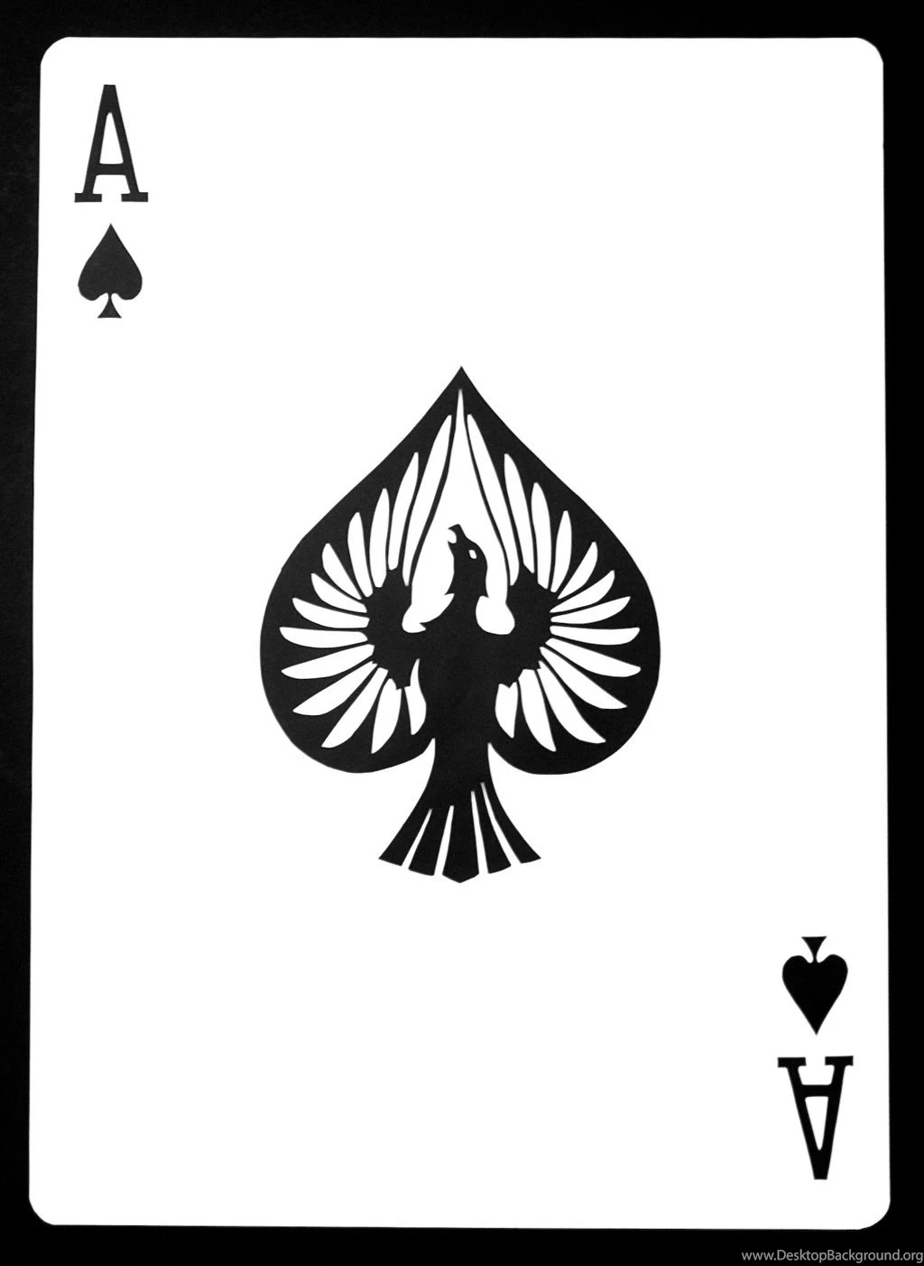 Wide HD Ace Of Spades Wallpapers