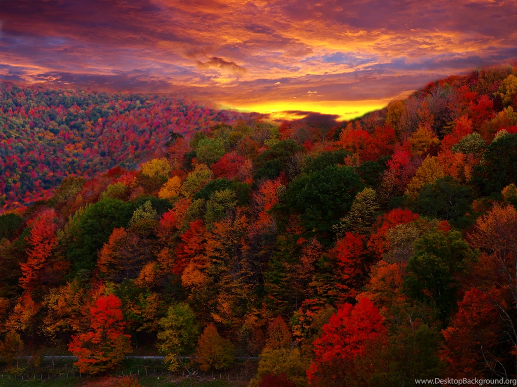 Autumn In The Mountains Nature