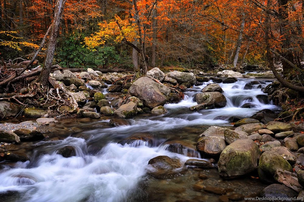 Mountain Stream In Fall   Wallpaper.