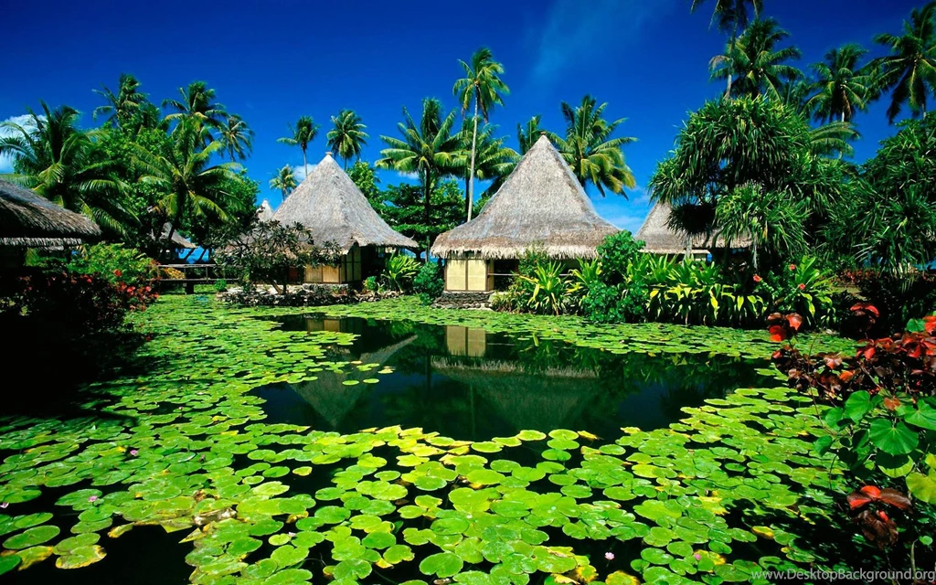 Paradise Island