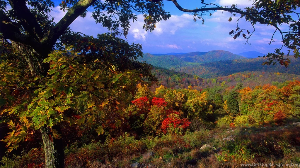 Fall Mountain Scenery
