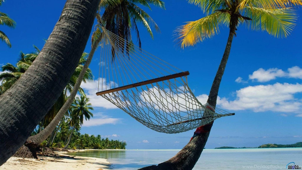 Download Wallpapers Hammock In A Tropical Paradise (1600 X 900 ...