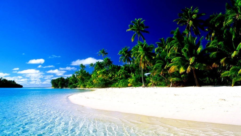 Tropical Paradise Wallpapers