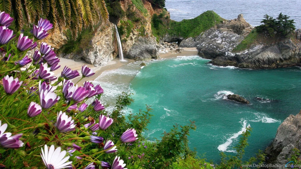 Download Wallpapers Tropical Paradise (1920 X 1080 HDTV 1080p ...