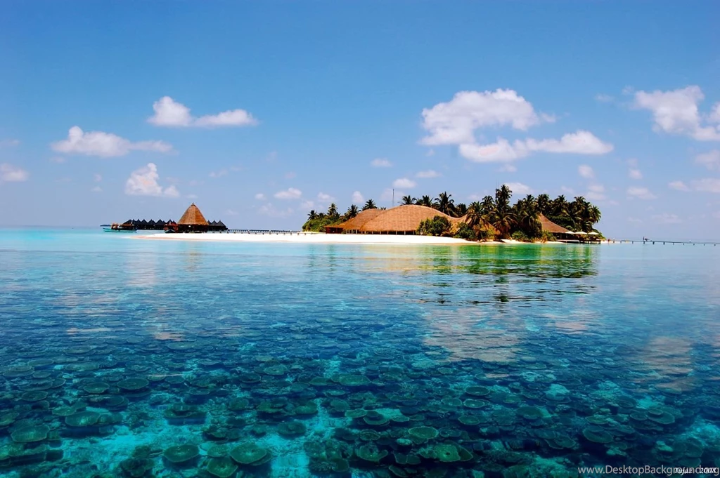 Download Pictures: Paradise Wallpapers