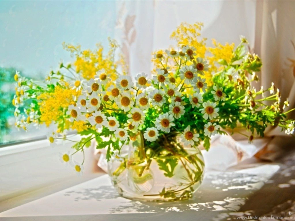 Good Morning Images Free Download Sweet Good Morning With Lovely ...