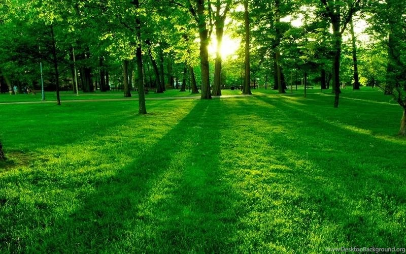 Green Nature HD Wallpapers Android Apps On Google Play