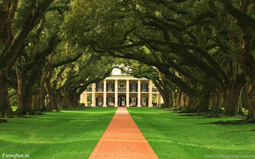 Wallpapers Free Download