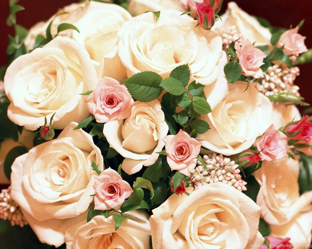 White Roses Flower Wallpapers