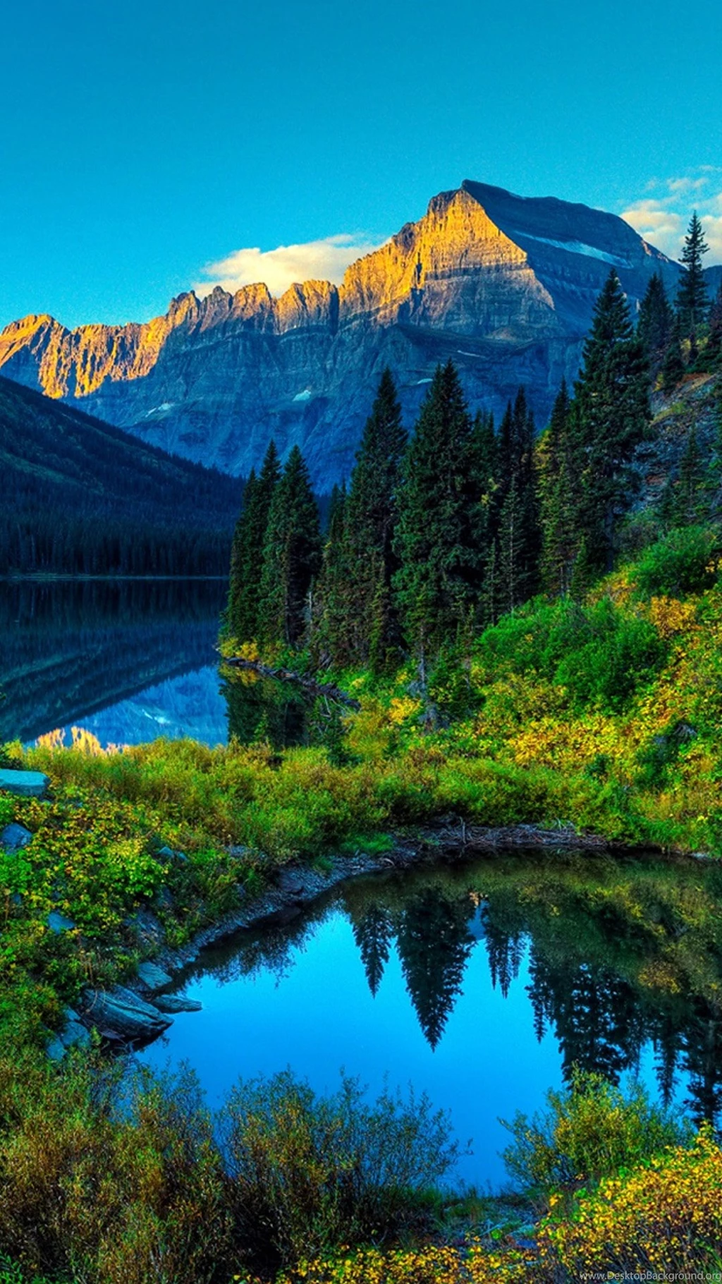 Free Nature Samsung Wallpapers
