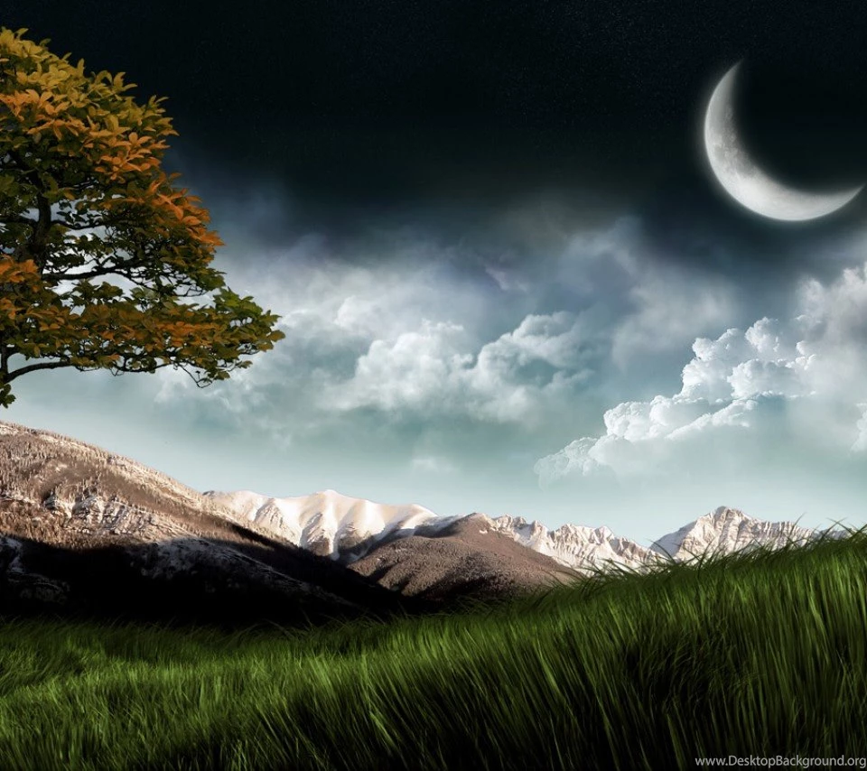 Latest 3d HD Wallpapers, Images, And Pictures Free