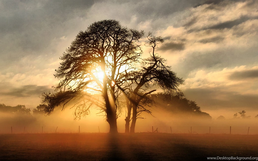 High Resolution Photos Hd Images 3 HD Wallpapers ...