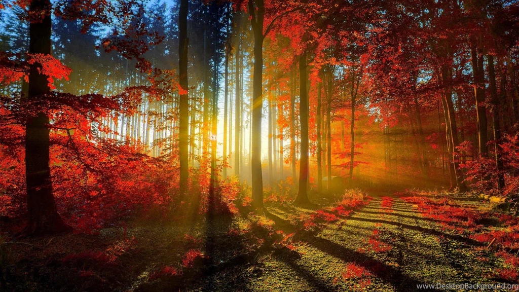 Nature Images Free Download