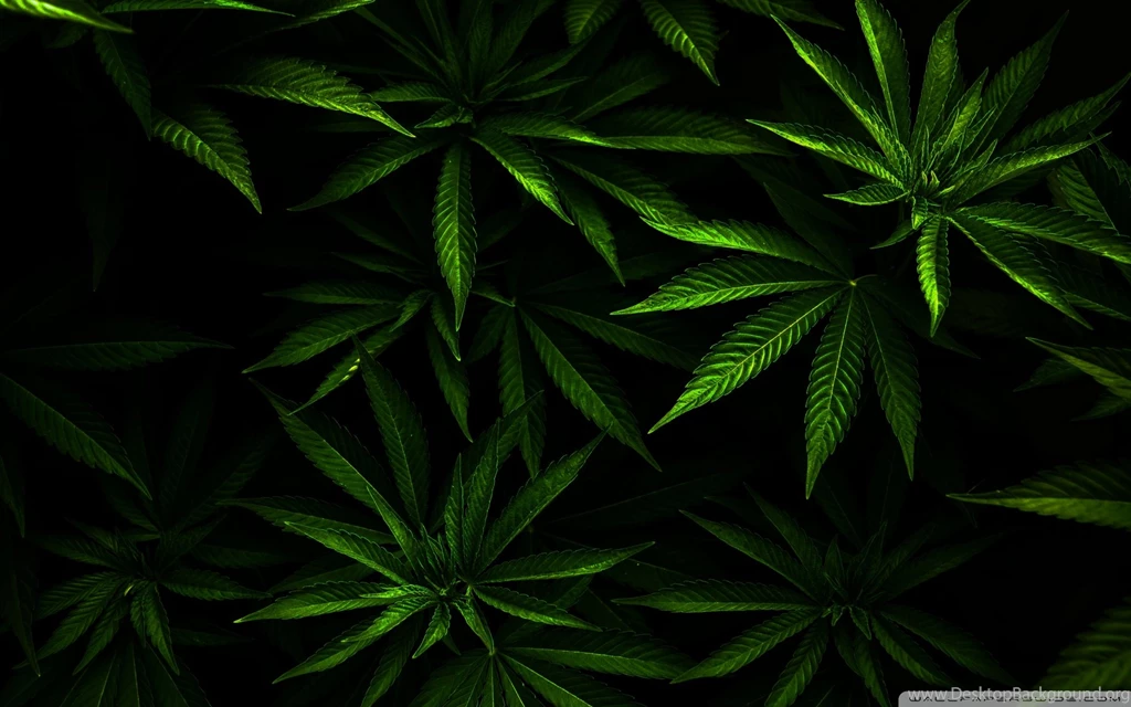 Weed HD Desktop Wallpapers : Widescreen : High Definition ...