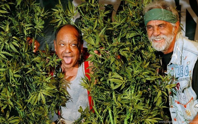 CHEECH AND CHONG Comedy Humor Marijuana Weed 420 Free Desktop ...