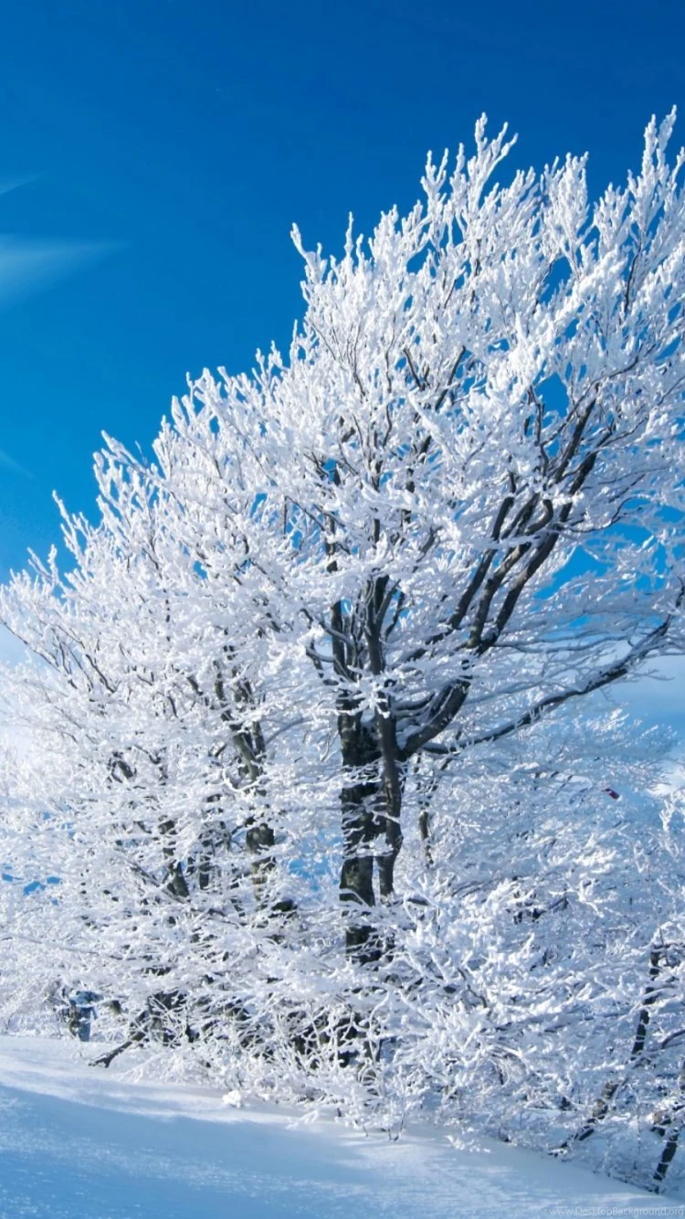 Winter Wallpapers For Iphone 6 Plus HD Wallpaper Backgrounds Of ...