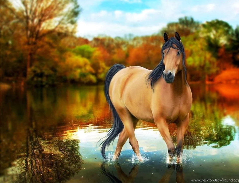 Horse Free In High Resolution For Free Get Hd Wallpapers Desktop ...