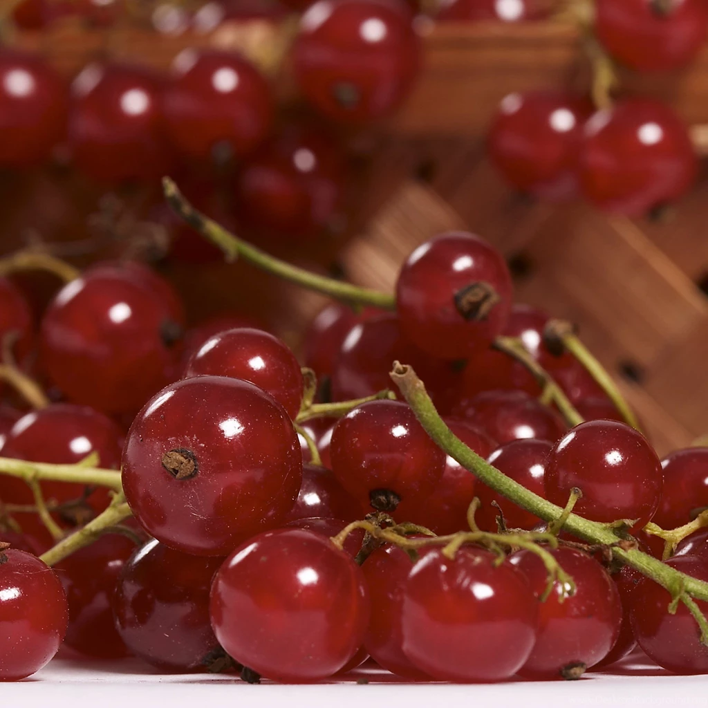 Cute Sweet Fruit iPad Air Wallpapers Download