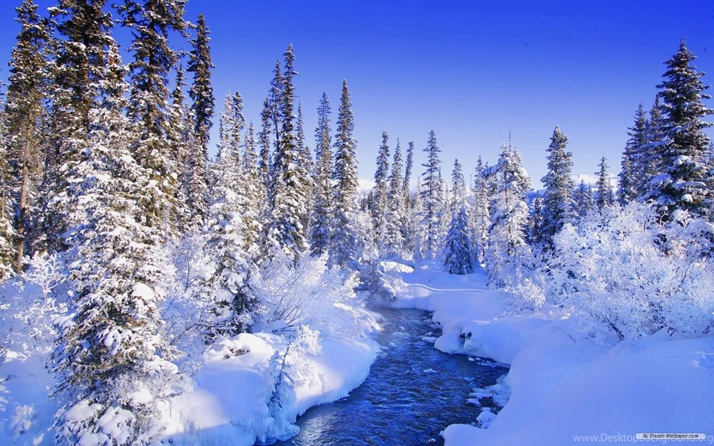 Winter Wallpapers Desktop Wallpapers Cave