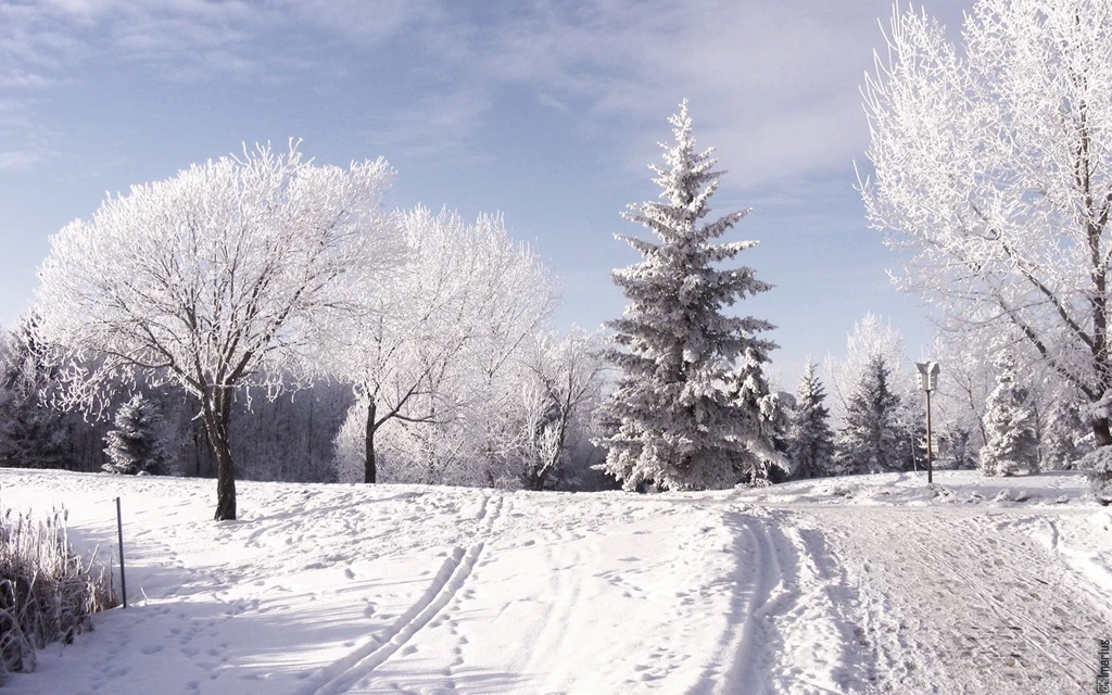 Snow Hill Trees Winter Season Nature HD Wallpapers