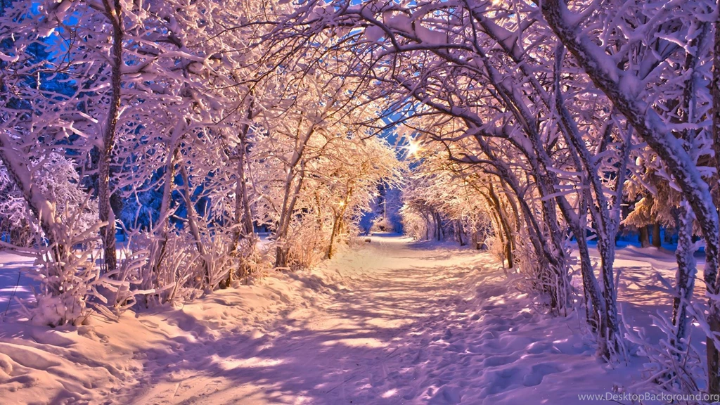 Nature Landscapes Winter Snow Christmas Sidewalk Roads Lights ...