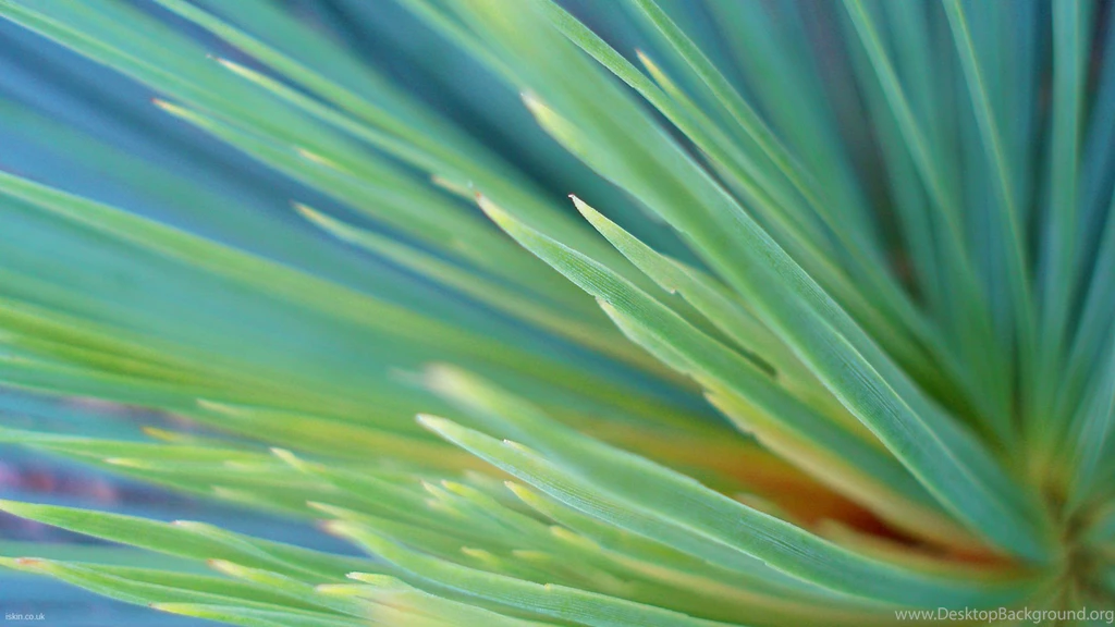 Dynamic Wallpapers For Iphone Uncalke.com