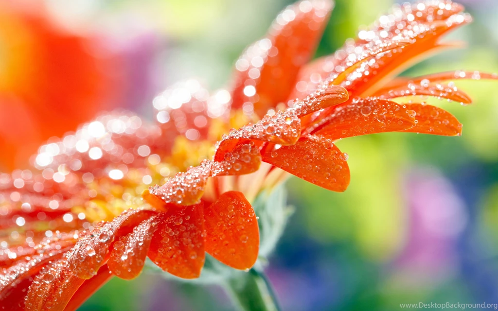 High Resolution Wallpapers Best Wonderful Fullwidehd.com