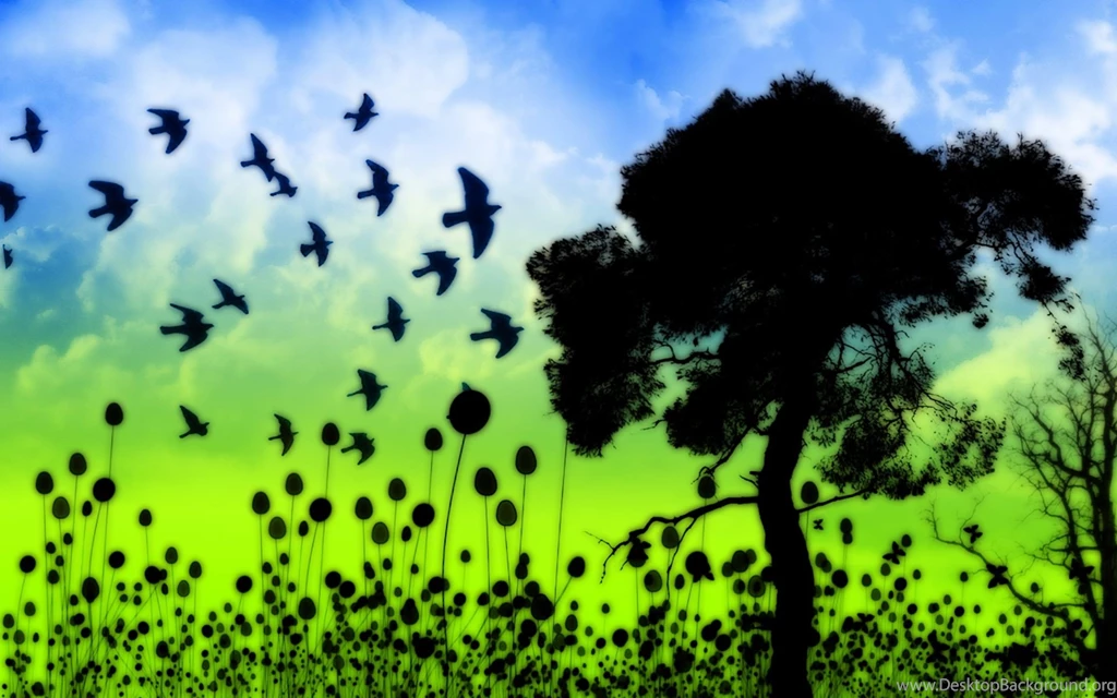 Good Night Funny Wallpapers Hd Pics Free Download And Best Quotes ...