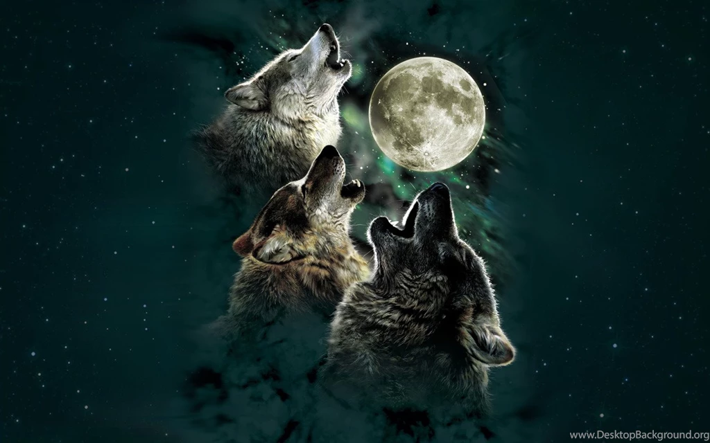 3 Wolf Moon Animal Wallpapers HD