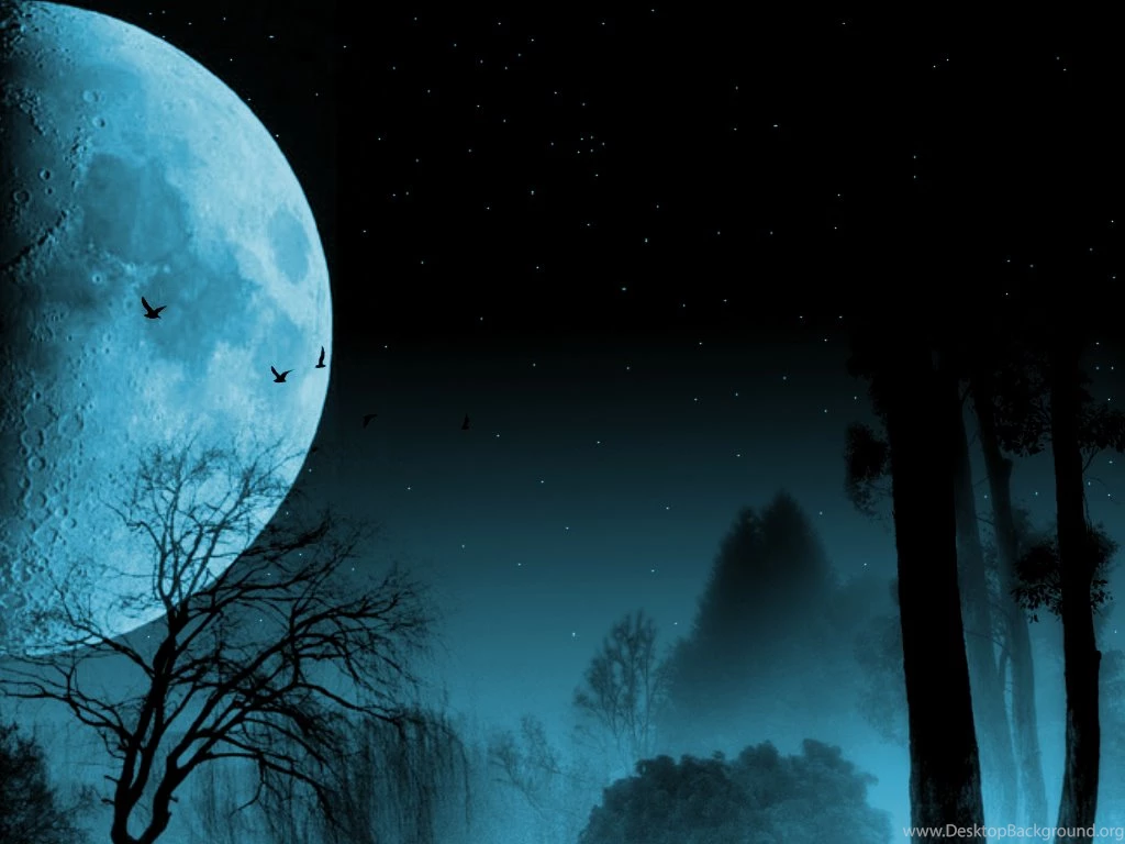 Wolf Moon Pictures HD Wallpapers And Pictures