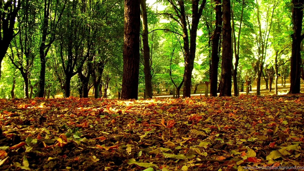 Wallpapers Surrealism Forums Share Your Desktop Page Free Phone ...