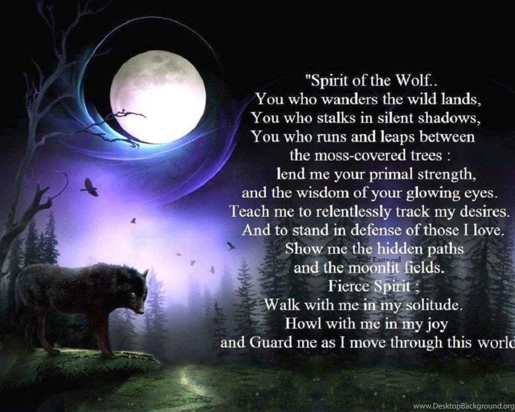 Wolf Prayer 1234129 Wallpapers (