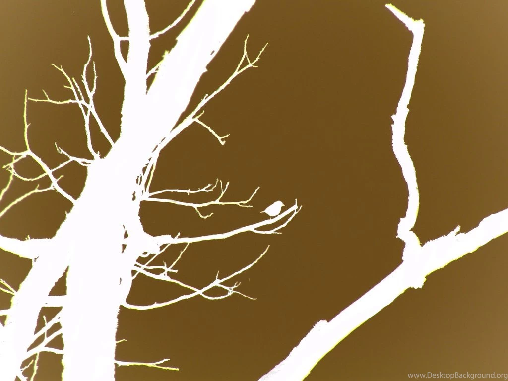 Brown Bird Wallpapers By LawnyJ On DeviantArt