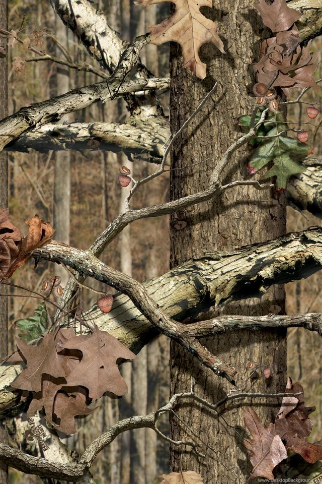 Mossy Oak Wallpapers Download