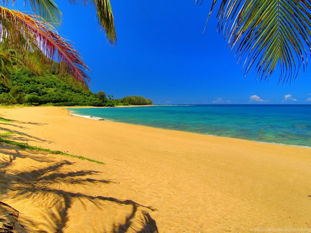 An Empty Hammock Kauai Hawaii Wallpapers The Sexy Wallpapers