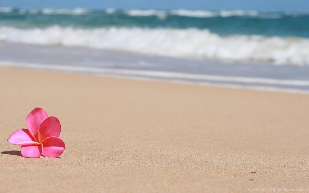 Sandy Beach Hawaii Wallpapers » WallDevil Best Free HD Desktop ...