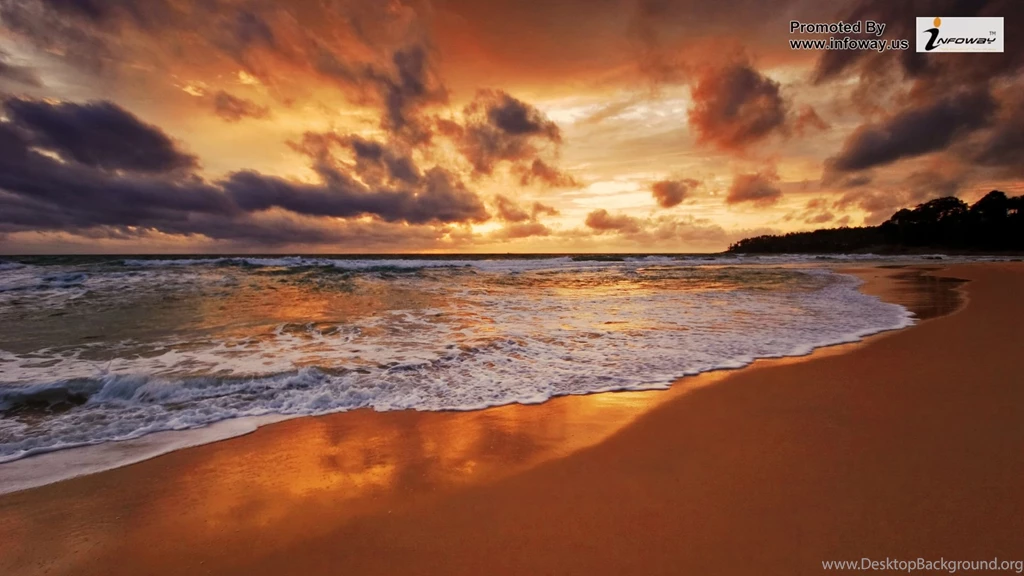 Sea Surfing Wallpapers Photo 128 Of 274