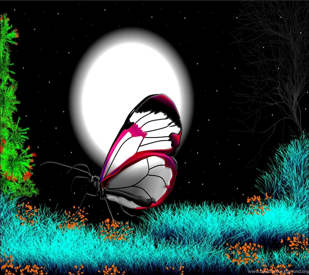 1440x1280 Mobile Phone Wallpapers Download 26 1440x1280 ...