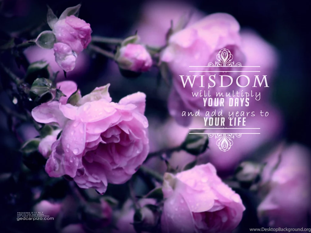 Purple Heart: Free Wallpapers