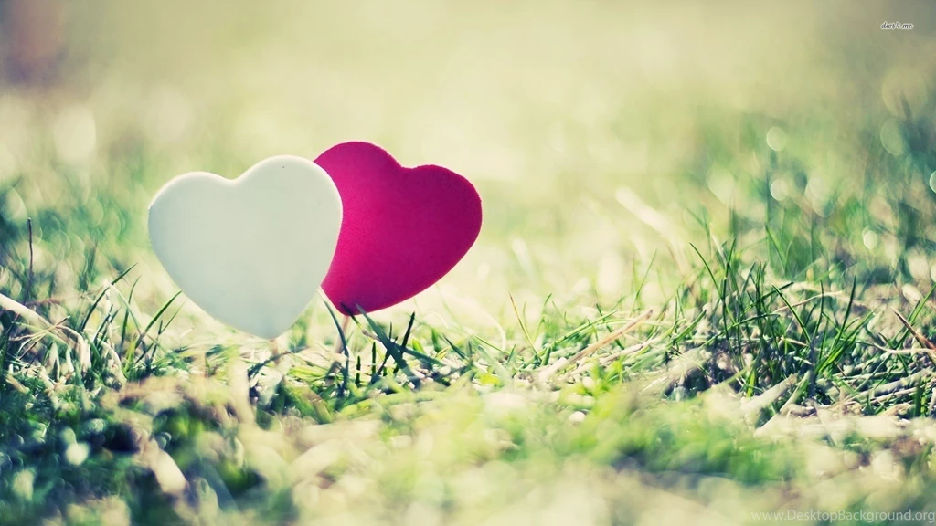 White And Purple Hearts, Grass, Photography, 1920x1080 HD ...