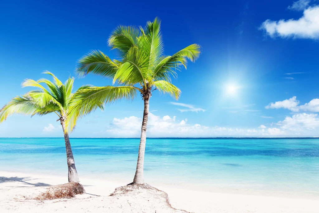 Tropical Pictures Collection (33+)