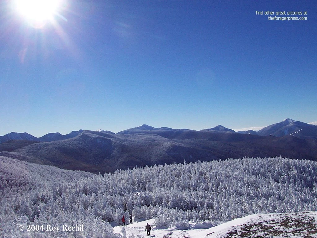 Roy's Best Outdoor Pictures Computer Wallpaper Backgrounds The ...