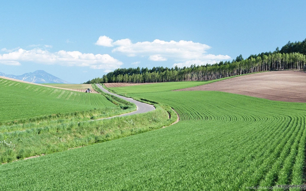 Feeling The Nature   Outdoor Relaxation Wallpapers 1680x1050 NO.31 ...