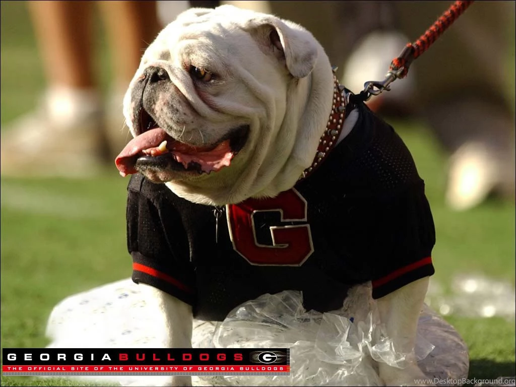Georgia Bulldog Wallpapers Pictures 4 Desktop Wallpapers ...