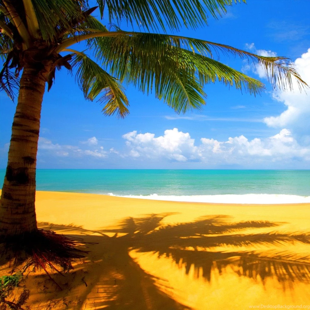 Tropical Paradise Ipad Wallpapers